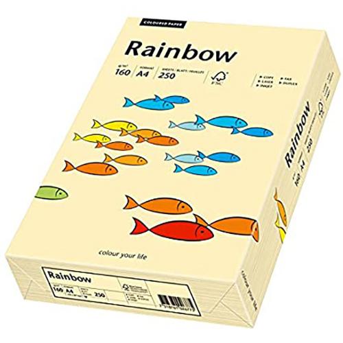 Photo de Papier Rainbow A4 160 gr (250)  - Brun - Rainbow