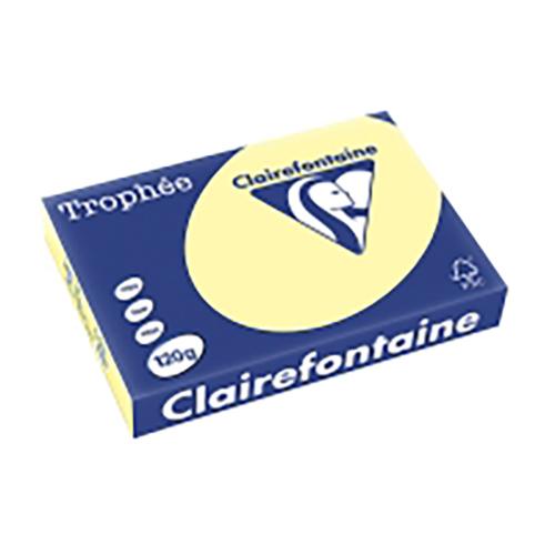 Photo de Papier Trophée A4 120 gr (250) - Jaune - Trophee