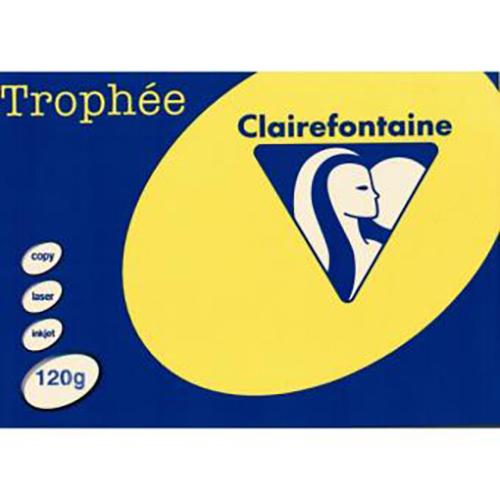 Photo de Papier Trophée A4 120 gr (250) - Jaune - Trophee