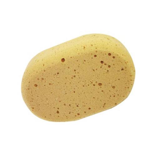Foto van Ovale spons 20x14x7 - Beige