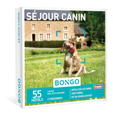Foto van Honden Welkom